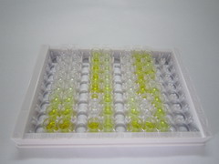 α-甲基酰基辅酶A消旋酶(aMACR)检测试剂盒(酶联免疫吸附试验法)
