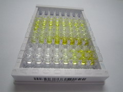 泛醌NADH脱氢酶Fe-S蛋白1(NDUFS1)检测试剂盒(酶联免疫吸附试验法)