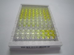 含V-Set域T-细胞激活抑制因子1(VTCN1)检测试剂盒(酶联免疫吸附试验法)