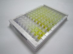 Zeste同源物增强子2(EZH2)检测试剂盒(酶联免疫吸附试验法)