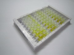 含NLR家族Pyrin域蛋白3(NLRP3)检测试剂盒(酶联免疫吸附试验法)