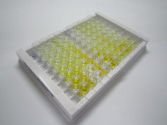 血小板反应蛋白解整合素金属肽酶5(ADAMTS5)检测试剂盒(酶联免疫吸附试验法)