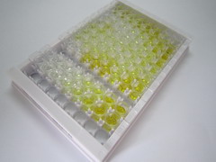 血小板反應(yīng)蛋白解整合素金屬肽酶5(ADAMTS5)檢測(cè)試劑盒(酶聯(lián)免疫吸附試驗(yàn)法)