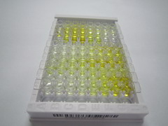 血小板反应蛋白解整合素金属肽酶5(ADAMTS5)检测试剂盒(酶联免疫吸附试验法)