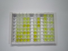 δ离子能谷氨酸受体2(GRId2)检测试剂盒(酶联免疫吸附试验法)
