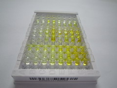 正五聚蛋白3(PTX3)检测试剂盒(酶联免疫吸附试验法)