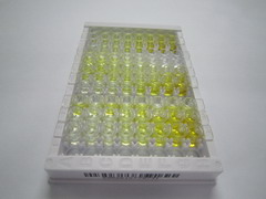 含EGF样模块粘蛋白样激素受体1(EMR1)检测试剂盒(酶联免疫吸附试验法)