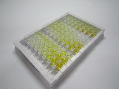 Dicer酶1(DICER1)检测试剂盒(酶联免疫吸附试验法)