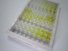成纤维细胞生长因子15(FGF15)检测试剂盒(酶联免疫吸附试验法)