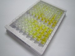 C-型凝集素域家族3成员B(CLEC3B)检测试剂盒(酶联免疫吸附试验法)