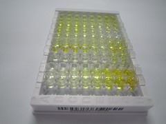 δ样蛋白1同源物(dLK1)检测试剂盒(酶联免疫吸附试验法)