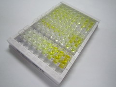 DNA酶Ⅰ樣蛋白3(DNASE1L3)檢測(cè)試劑盒(酶聯(lián)免疫吸附試驗(yàn)法)