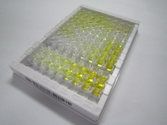 FK506結(jié)合蛋白樣蛋白(FKBPL)檢測(cè)試劑盒(酶聯(lián)免疫吸附試驗(yàn)法)