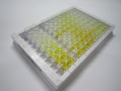 高温需求因子A1(HTRA1)检测试剂盒(酶联免疫吸附试验法)