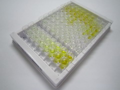 白介素1家族成員9(IL1F9)檢測試劑盒(酶聯(lián)免疫吸附試驗法)
