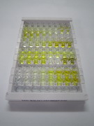 黏病毒耐药蛋白1(MX1)检测试剂盒(酶联免疫吸附试验法)