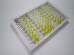 WNT抑制因子1(WIF1)检测试剂盒(酶联免疫吸附试验法)
