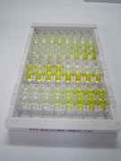 信號素3A(SEMA3A)檢測試劑盒(酶聯(lián)免疫吸附試驗法)