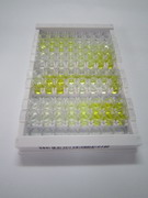 信号素3E(SEMA3E)检测试剂盒(酶联免疫吸附试验法)