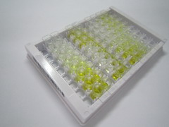 信号素3F(SEMA3F)检测试剂盒(酶联免疫吸附试验法)
