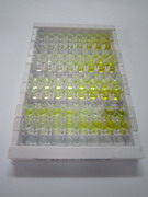 红细胞衍生核因子2样蛋白2(NFE2L2)检测试剂盒(酶联免疫吸附试验法)