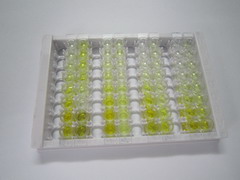 醌NADH脱氢酶1(NQO1)检测试剂盒(酶联免疫吸附试验法)