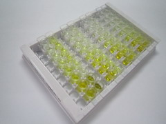 醌NADH脱氢酶1(NQO1)检测试剂盒(酶联免疫吸附试验法)