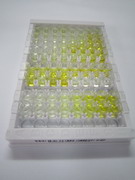 醌NADH脫氫酶1(NQO1)檢測試劑盒(酶聯(lián)免疫吸附試驗(yàn)法)