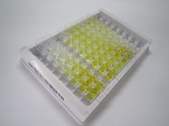 R-脊椎蛋白1(RSPO1)检测试剂盒(酶联免疫吸附试验法)