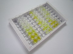 分泌型Ly6/uPAR相關蛋白1(SLURP1)檢測試劑盒(酶聯(lián)免疫吸附試驗法)