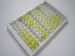 类固醇5α还原酶1(SRD5a1)检测试剂盒(酶联免疫吸附试验法)