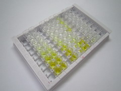 肿瘤坏死因子α诱导蛋白6(TNFaIP6)检测试剂盒(酶联免疫吸附试验法)