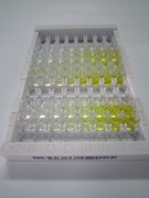 Ras相关C3肉毒菌毒素底物1(Rac1)检测试剂盒(酶联免疫吸附试验法)