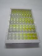 跨膜蛋白176B(TMEM176B)检测试剂盒(酶联免疫吸附试验法)