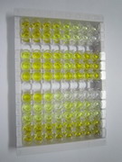 血管生成素样蛋白6(ANGPTL6)检测试剂盒(酶联免疫吸附试验法)