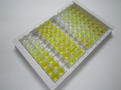 補體應(yīng)答基因32(RGC32)檢測試劑盒(酶聯(lián)免疫吸附試驗法)