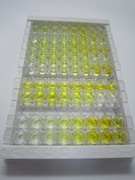 含Ⅲ型纤连蛋白域蛋白5(FNDC5)检测试剂盒(酶联免疫吸附试验法)