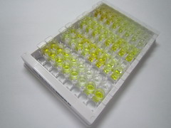 C-型凝集素域家族11成员A(CLEC11A)检测试剂盒(酶联免疫吸附试验法)