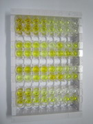 RAD51同源物(RAD51)檢測試劑盒(酶聯(lián)免疫吸附試驗(yàn)法)