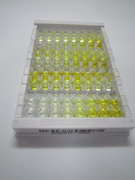 細胞色素P450家族成員2C9(CYP2C9)檢測試劑盒(酶聯(lián)免疫吸附試驗法)