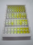 醛糖还原酶相似蛋白1(ARL1)检测试剂盒(酶联免疫吸附试验法)