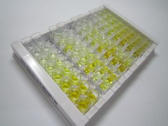 EGF樣域蛋白6(EGFL6)檢測(cè)試劑盒(酶聯(lián)免疫吸附試驗(yàn)法)