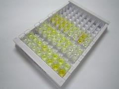 信号素4B(SEMA4B)检测试剂盒(酶联免疫吸附试验法)