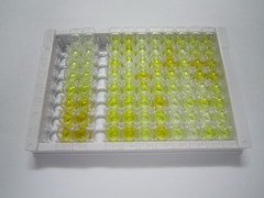 丝氨酸蛋白酶23(PRSS23)检测试剂盒(酶联免疫吸附试验法)