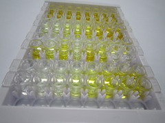 胞浆多聚A结合蛋白1样蛋白(PABPC1L)检测试剂盒(酶联免疫吸附试验法)