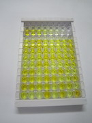 肽酶抑制因子16(PI16)检测试剂盒(酶联免疫吸附试验法)