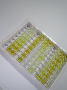线粒体丙酮酸载体蛋白1(MPC1)检测试剂盒(酶联免疫吸附试验法)