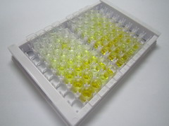 序列相似家族5成员C(FAM5C)检测试剂盒(酶联免疫吸附试验法)