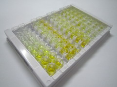 ADP核糖基化因子样蛋白15(ARL15)检测试剂盒(酶联免疫吸附试验法)