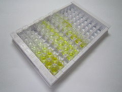 16号染色体开放阅读框89(C16orf89)检测试剂盒(酶联免疫吸附试验法)